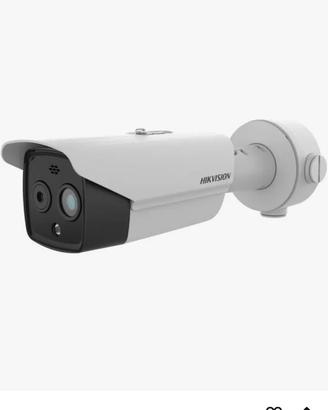 Telecamera Termica IP Hikvision