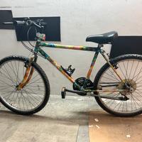 Bicicletta mountain bike