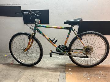 Bicicletta mountain bike