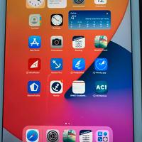 Ipad Air 2 Wi-Fi + Cellular 16 GB