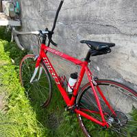 Bici da corsa