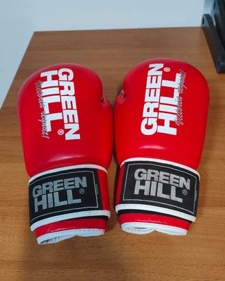 GREEN HILL Guanti Boxe Lion 16.oz