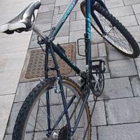 Bicicletta MTB