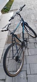 Bicicletta MTB