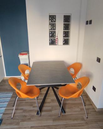 6 Sedie design Lolita by Lucci/Orlandini 