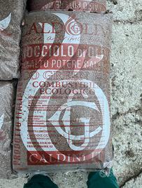 Seme di oliva per stufa