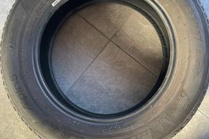 Gomma da neve Michelin