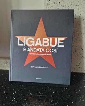 Libro " Ligabue è andata cosi'"