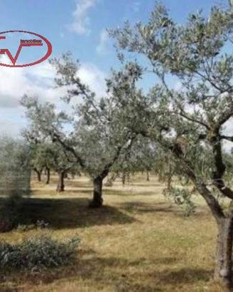 Terreno di 8200 m² a Montevarchi