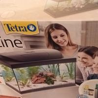 acquario 54 litri  tetra