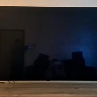 TV Smart LG OLED 55 con difetto righe schermo