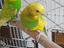 Immagine 1