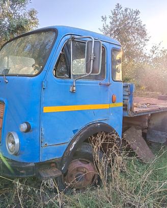 Fiat OM lupetto 30