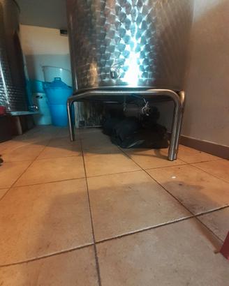 Cisterna acciaio inox