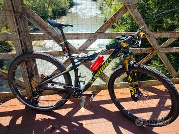 specialized Epic Sworks 