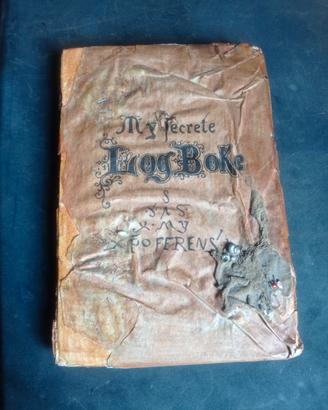 MY SECRETE  LOG BOKE  (CARL MARIA  SEYPPEL) •1892•
