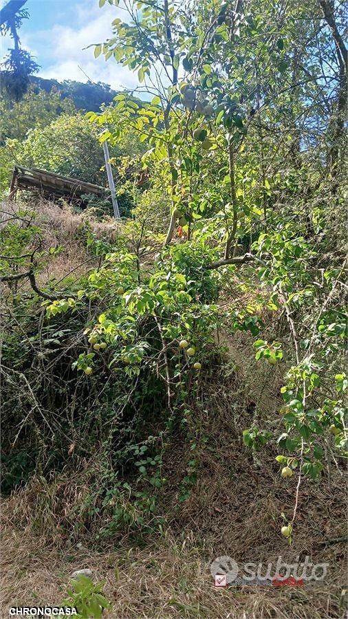 Terreno Portella Castanea - Altro
