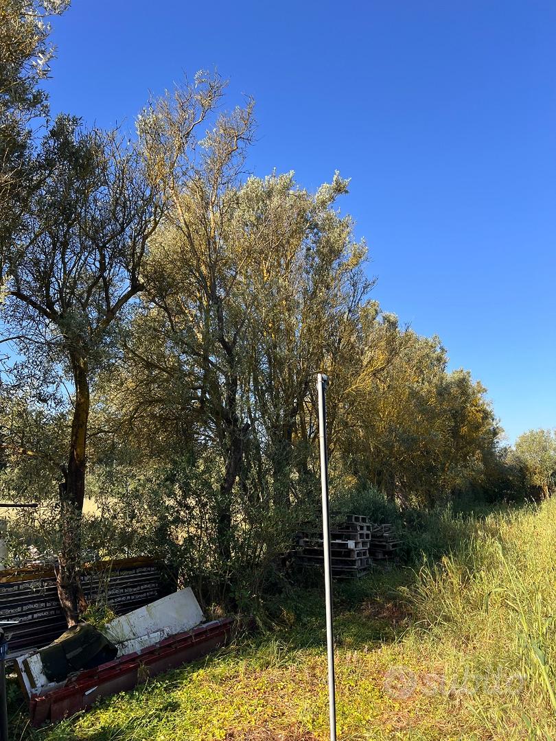 Terreno agricolo - Vista 3