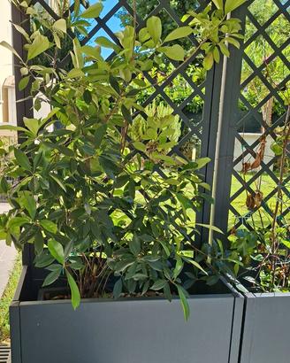Grigliati giardino