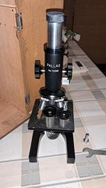 Microscopio Pallas (made in Japan)