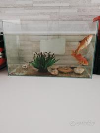 acquario 25 litri 