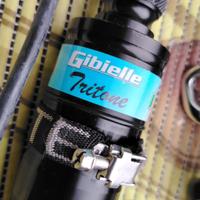 Torcia gibielle tritone