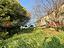 Immagine 28