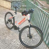 e bike