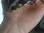 Immagine 5