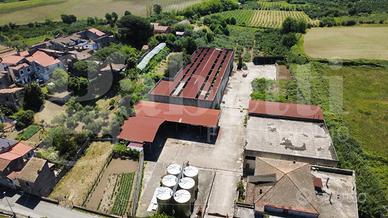 Capannone Industriale Teano [Cod. rif 3315141VCG]