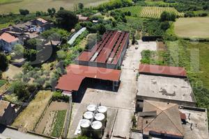 Capannone Industriale Teano [Cod. rif 3315141VCG]