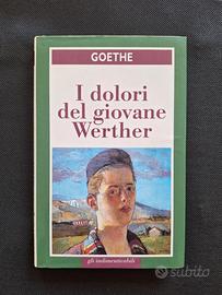 Romanzo "I dolori del giovane Werther", Goethe