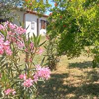 Villino "Zona Riello Viterbo