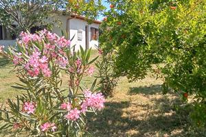 Villino "Zona Riello Viterbo