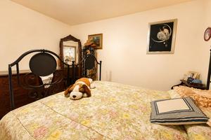 Appartamento Roma [Cod. rif 3330681VRG]