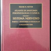 Netter, Atlante del SISTEMA NERVOSO