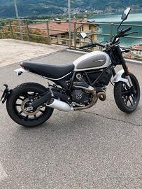 Ducati scrambler 800