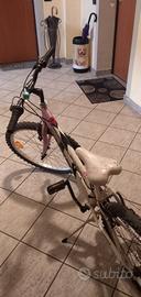 bici donna '24