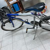 Bici