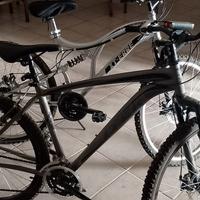 Bici maschile e femminile