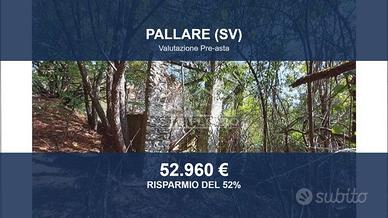 Immobile in asta di 349090 m² a Pallare