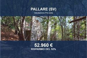 Immobile in asta di 349090 m² a Pallare