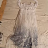 Vestiti di carnevale