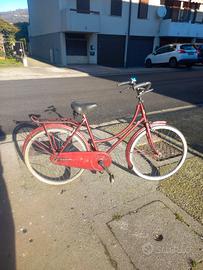 donna classica holand da 24 