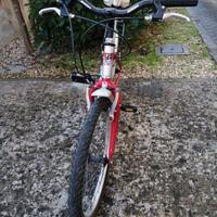bici ragazzo MTB 20"