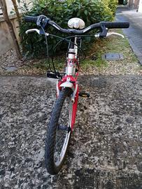 bici ragazzo MTB 20"