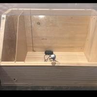 Incubatrice per pulli