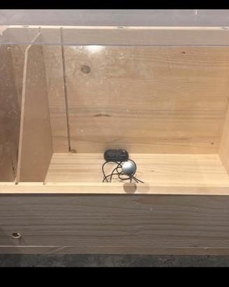 Incubatrice per pulli
