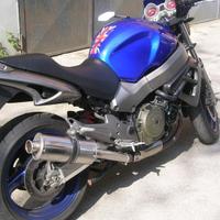 Short Titanium Honda CBR 1100 XX X Eleven