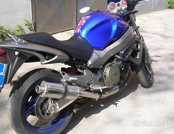 Short Titanium Honda CBR 1100 XX X Eleven